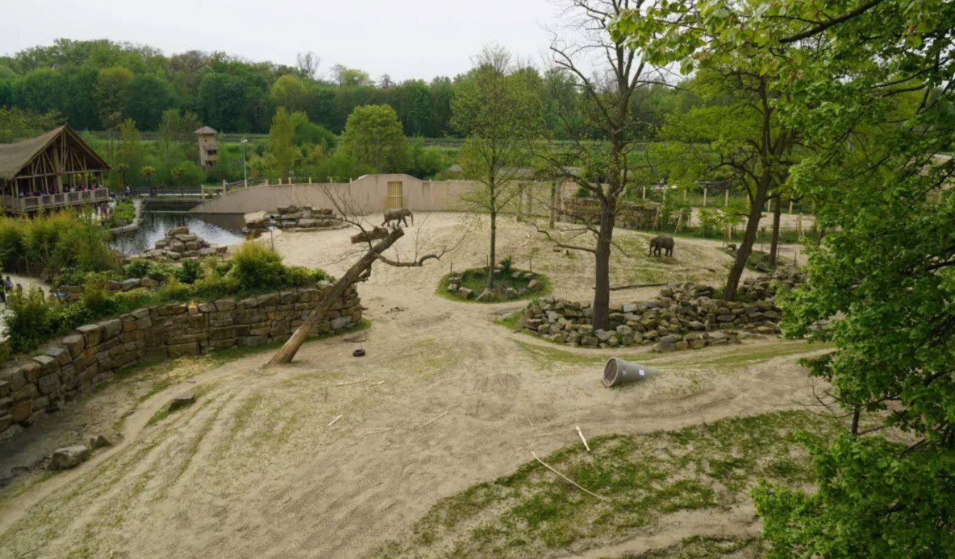 ZOO Planckendael, Belgium